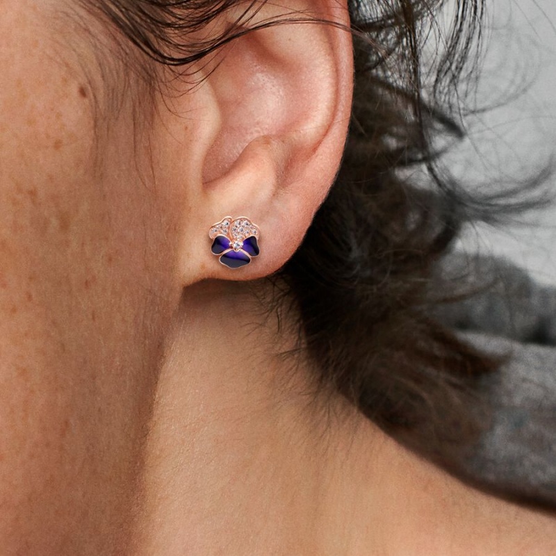Pandora Deep Purple Pansy Flowers Ohrstecker Rosa Gold | QYIXBFA-06